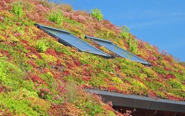 Kings Dyke living roof systems