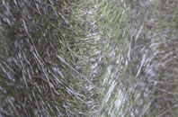 Kings Dyke fibreglass roof work